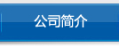 公司簡(jiǎn)介